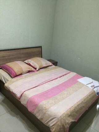 Отель Star Hotel Didube Тбилиси Двухместный номер с 1 кроватью и собственной ванной комнатой-4