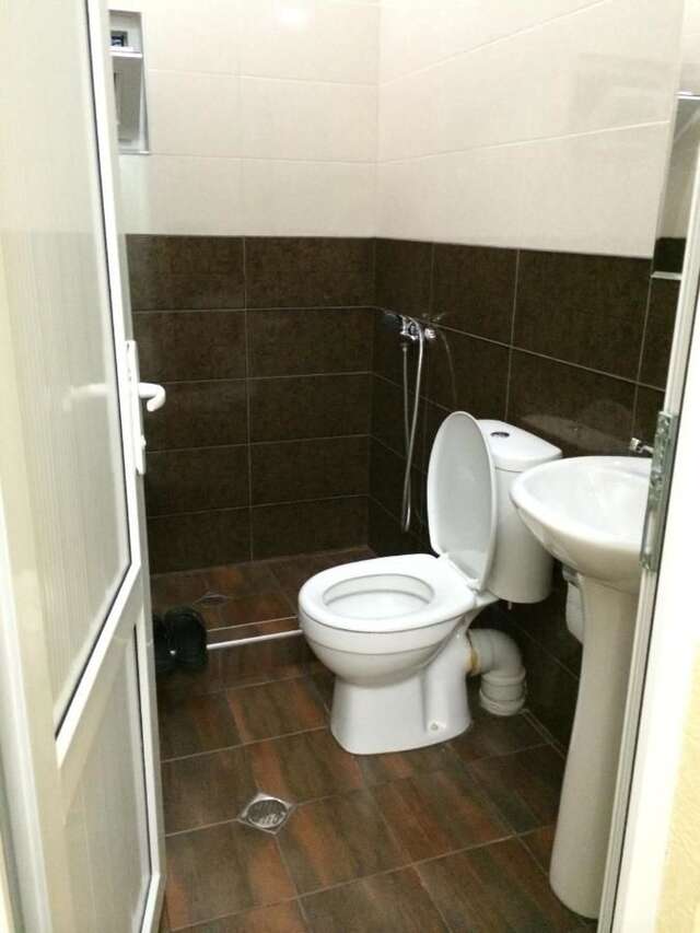 Отель Star Hotel Didube Тбилиси-19